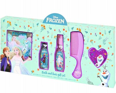 15909 Frozen Gift Set 5 delig