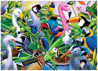 05225 Jumbo Puzzel Birds 1000 stukjes
