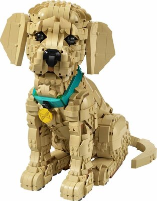 11384 LEGO Icons Golden Retriever Puppy