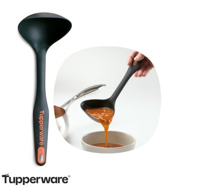 31368  Tupperware Soeplepel/Pollepel