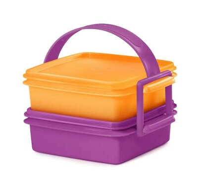 61876 Tupperware Easy Box to Go