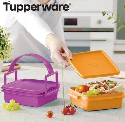 61876 Tupperware Easy Box to Go