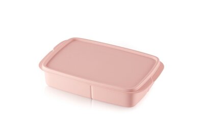 99884 Tupperware Vakjeslunchbox 1L Roze