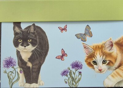 62078 Francien Kaarten Maak Set Katten en Poezen 20 Kaarten met Enveloppen  6 Verschillende Designs