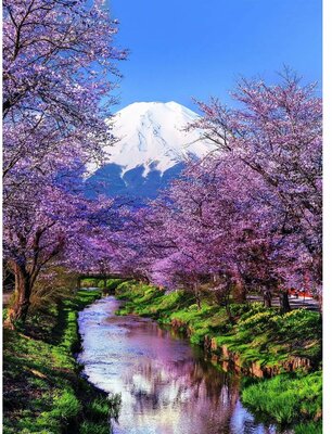 982776 Clementoni Puzzel Fuji Mountain 500 stukjes